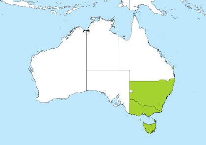 SGT to IST to AEST to MYT .